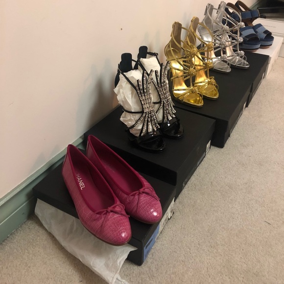 Meet your Posher, Bobo - Picture 3 of 7